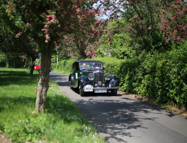 27300630961_826655db1e_o