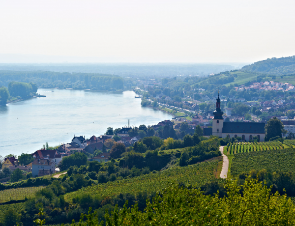 1_Rheinhessen_wein c Dieth & Schröder Fotografie